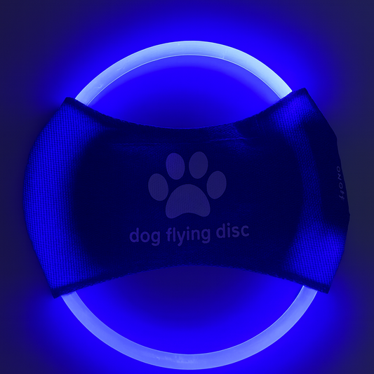 TailTorch LED Flying Disk