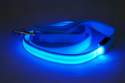 TailTorch LED Dog Leash