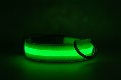 TailTorch LED Collar