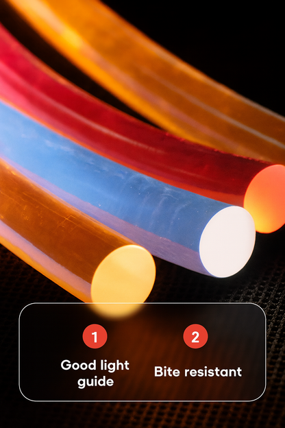 TailTorch LED Flying Disk