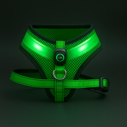 TailTorch NightGlow Safety Harness