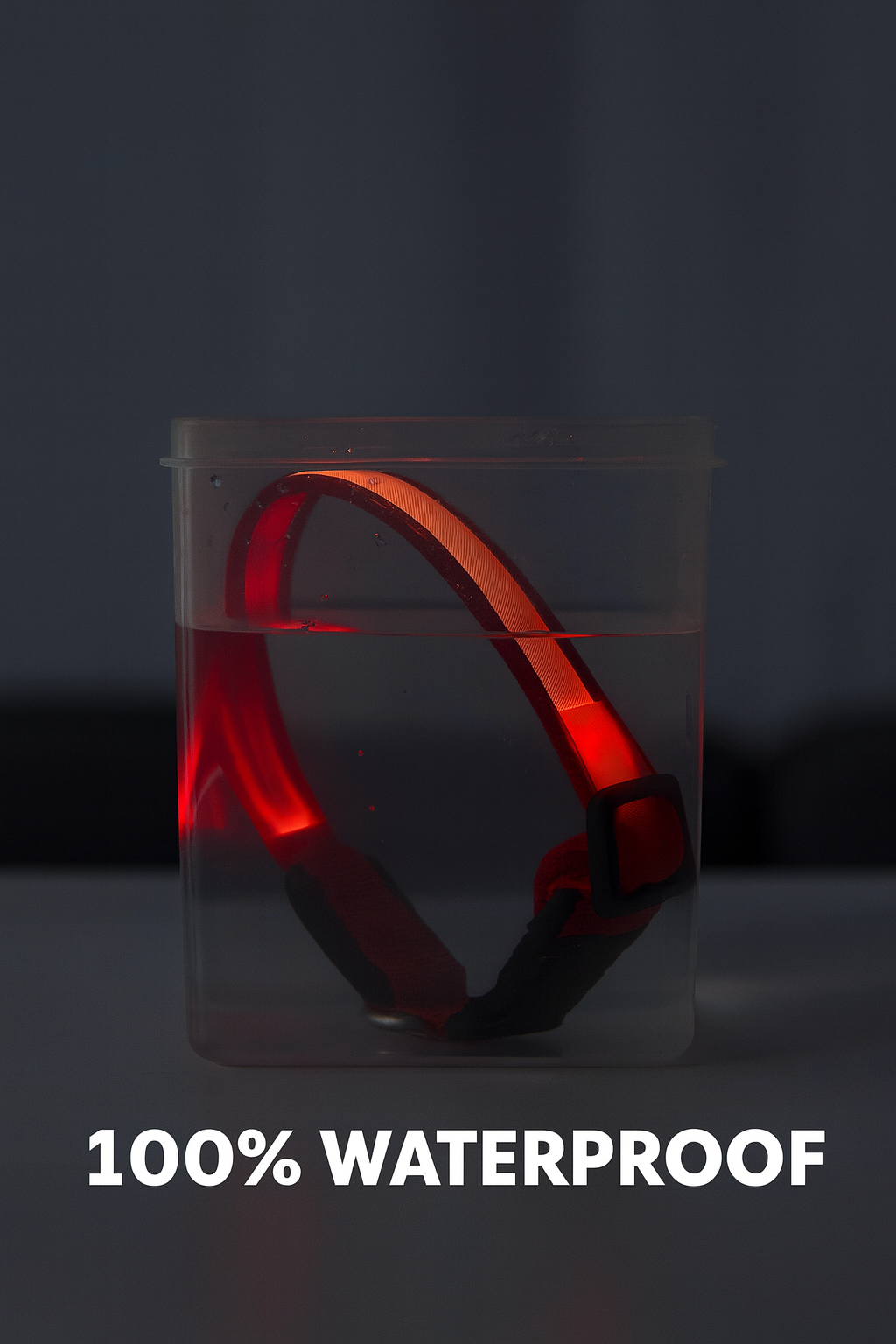 TailTorch 7-Color Glow Collar