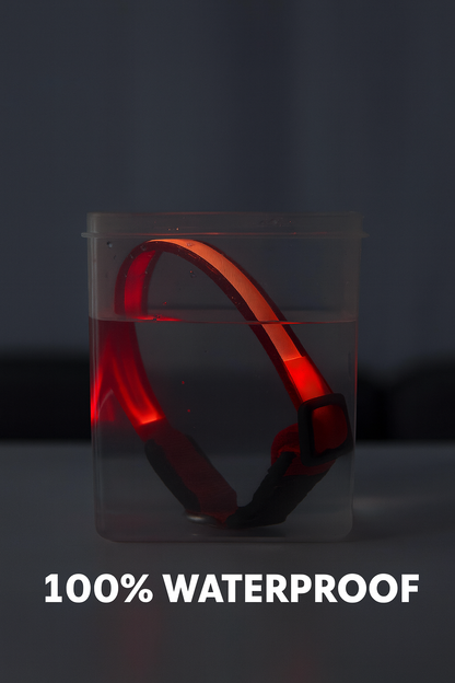 TailTorch 7-Color Glow Collar
