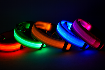 TailTorch 7-Color Glow Collar