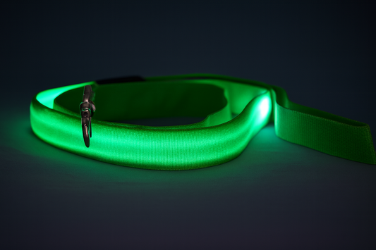 TailTorch LED Dog Leash