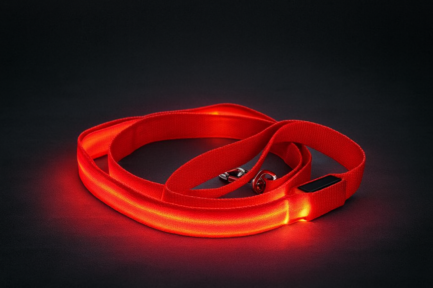 TailTorch LED Dog Leash