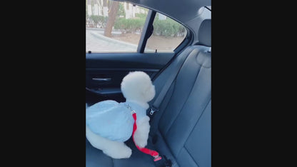 TailTorch Dog Car Seat Belt