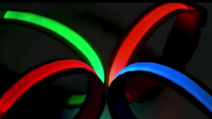 TailTorch LED Collar